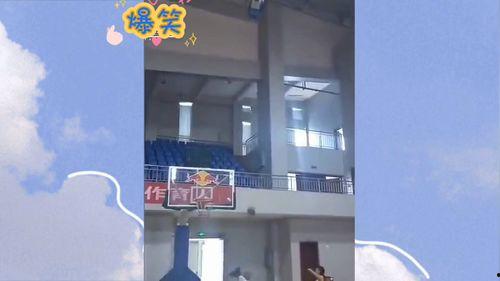 日常视频爆料大全最新网站,最新网站深度解析