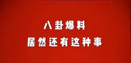 荆门八卦娱乐爆料