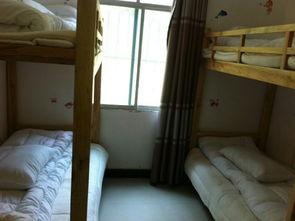 青年旅舍在线观看,在线观看之旅，邂逅全球青旅风采  第2张