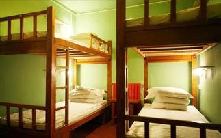 青年旅舍在线观看,在线观看之旅，邂逅全球青旅风采  第3张