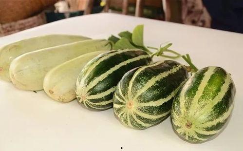 网红吃瓜免费群,揭秘娱乐圈幕后真相  第2张