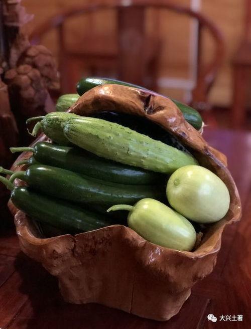 吃瓜吃火的网红有哪些,揭秘网络红人的“火”与“热” 第3张 吃瓜吃火的网红有哪些,揭秘网络红人的“火”与“热” 第3张