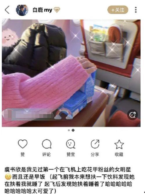 白鹿圈内爆料,娱乐圈内幕大揭秘