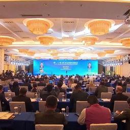 威海最新爆料消息视频大全,揭秘城市热点瞬间